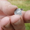 罗马和锤击硬币的金属检测